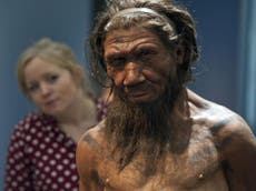 Reconstructed Neanderthal chest reveals unusual breathing technique