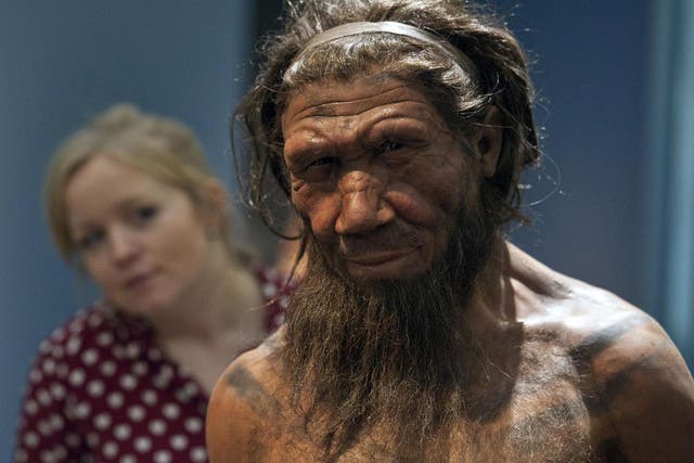 What caused the extinction of Neanderthals after 350,000 years on the planet remains a point of debate for experts