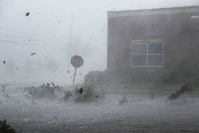 Hurricane Michael made landfall in Panama City, Florida