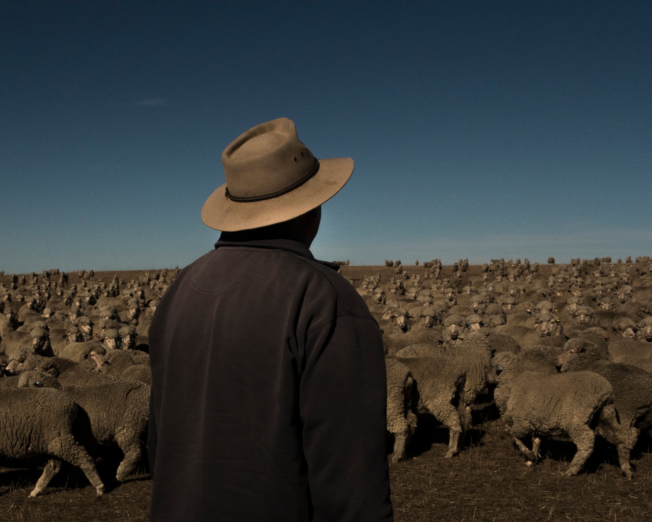 Colin Seis on his farm in New South Wales