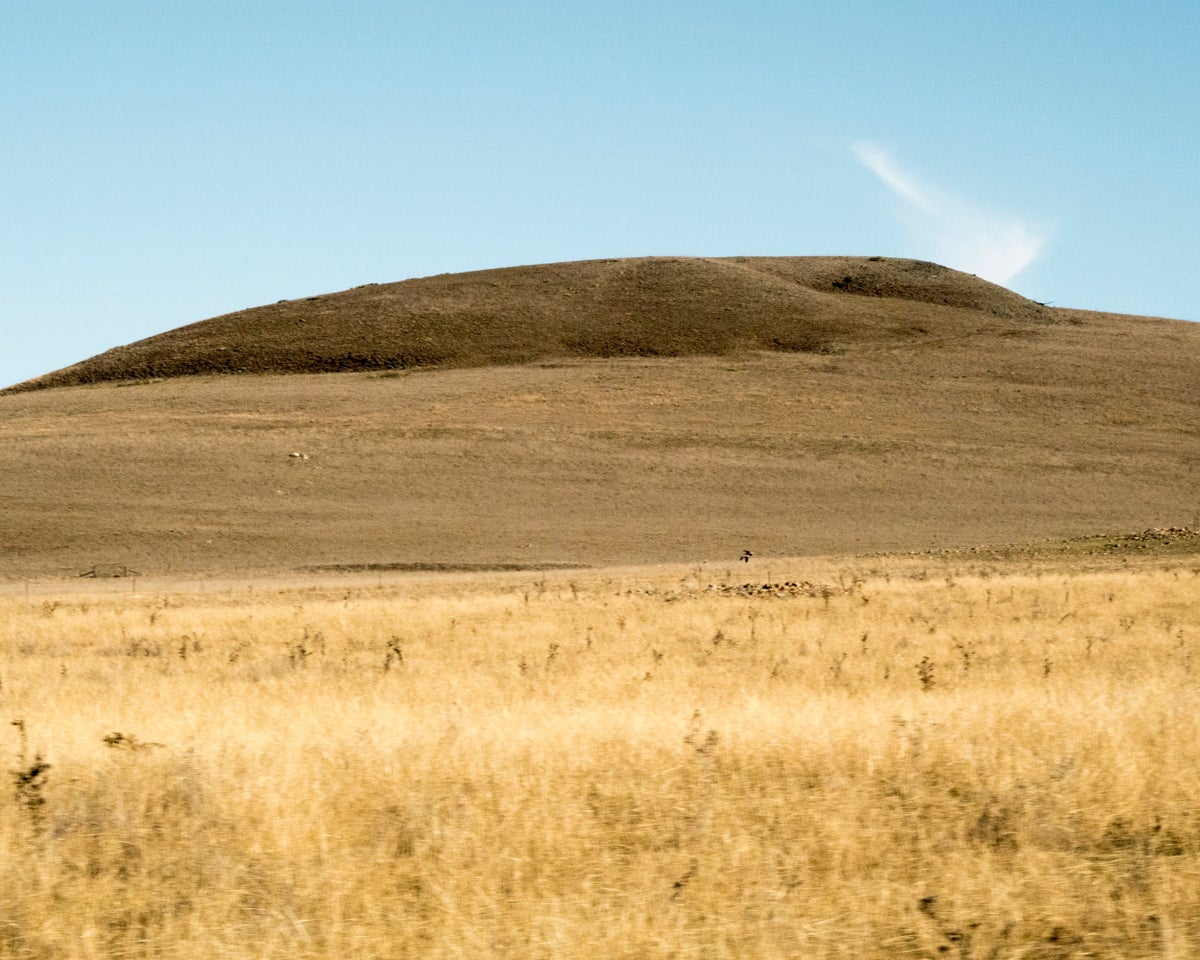 Soil in Australia could start emitting more carbon than it absorbs, scientists warn