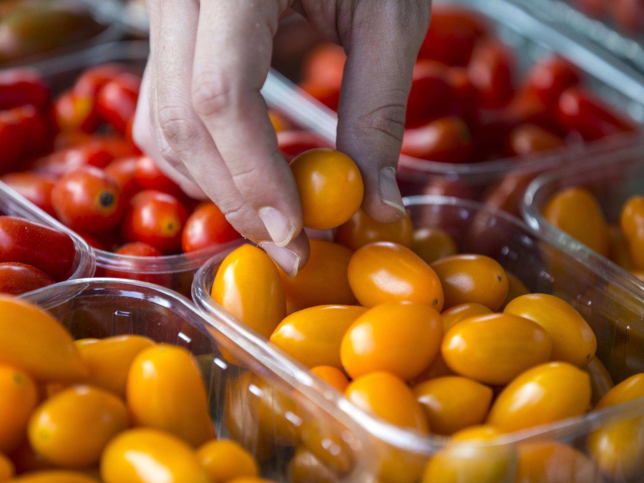 &#13;
The panel said ‘baby steps’ are the best approach to getting people to switch to a plant-based diet &#13;