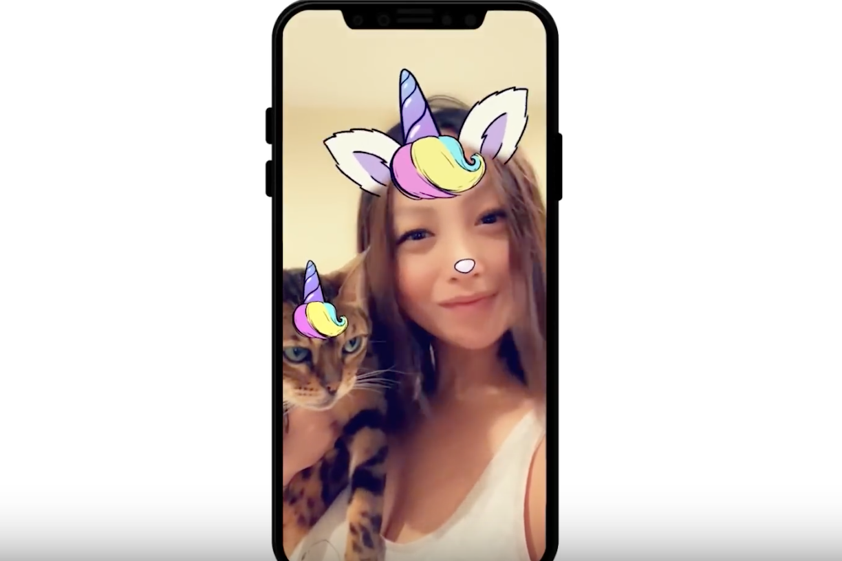 Snapchat introduces new filters for cats