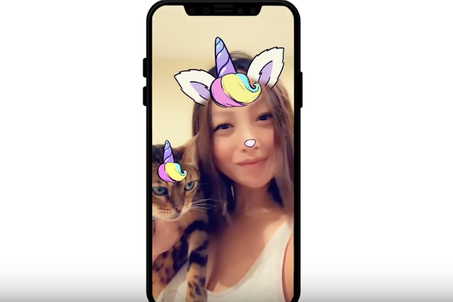 Snapchat has introduced filters for cats