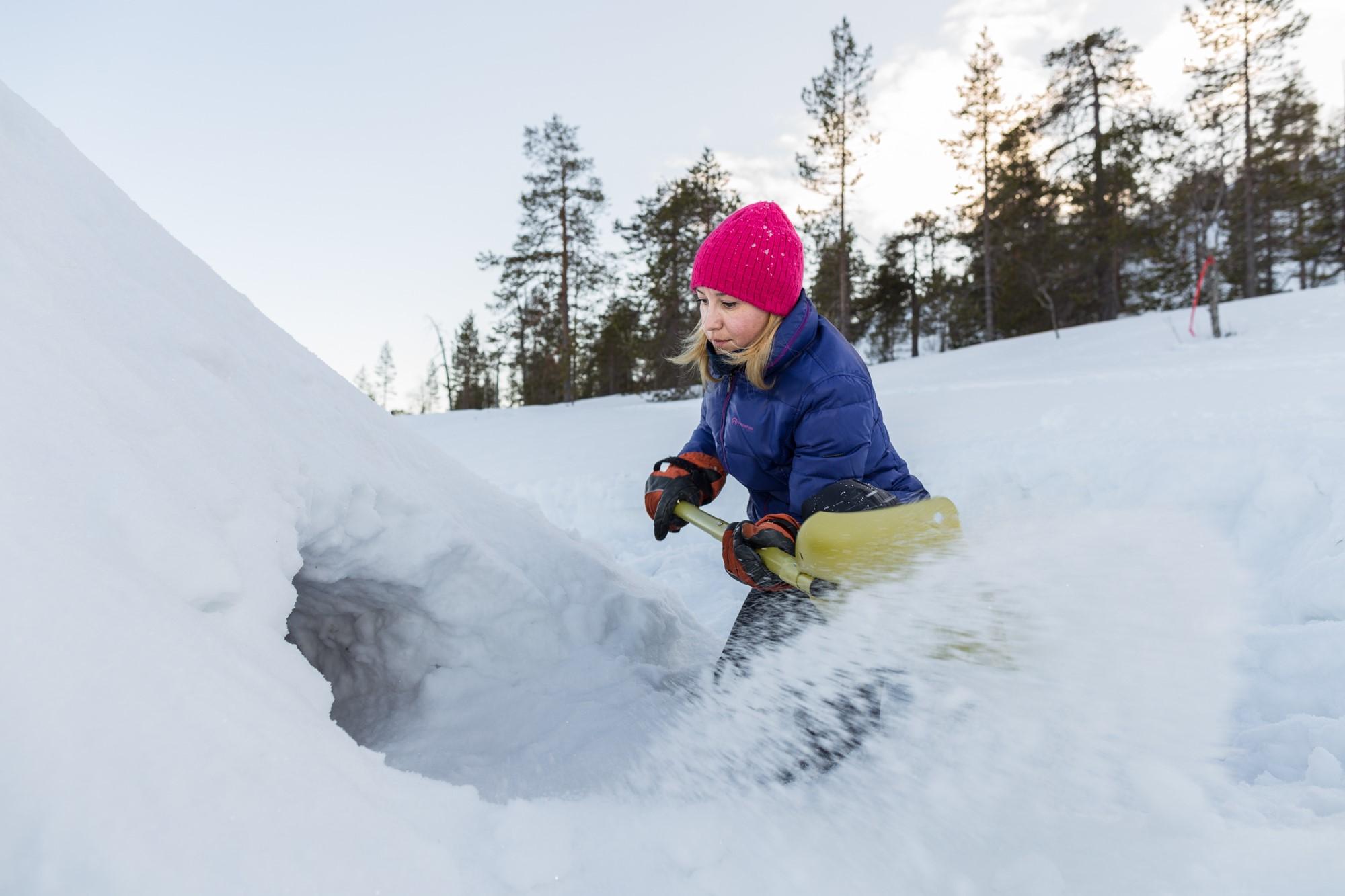 Build your own snow shelter in Finnish Lapland