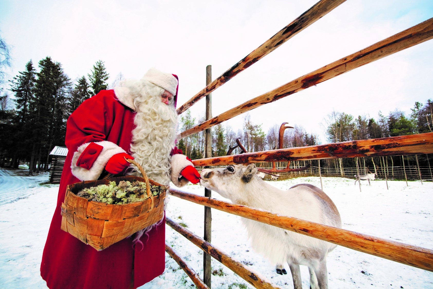 Meet Santa – or somebody resembling him – in Finland