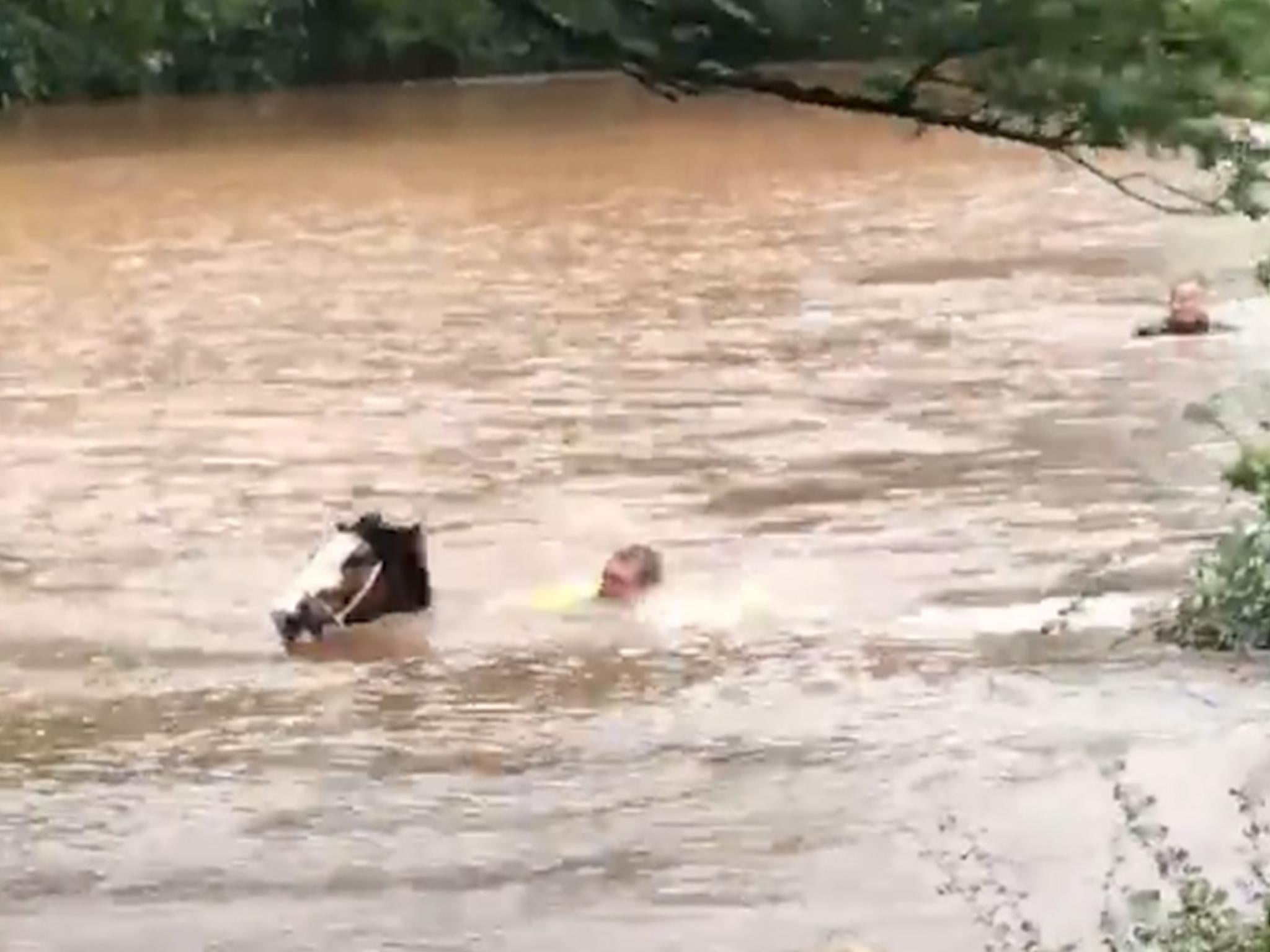 Storm Callum: Horses rescued from flooded field in Wales