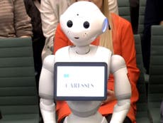 Pepper the AI robot gives evidence to parliament