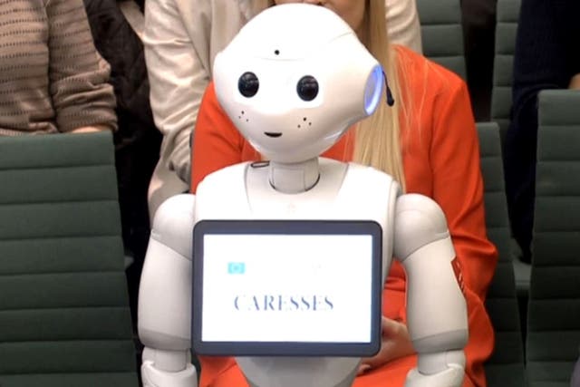 Pepper was the first AI robot to give evidence to parliament