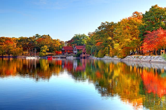 Burst of colour: Jamaica Pond in Boston, Massachusetts