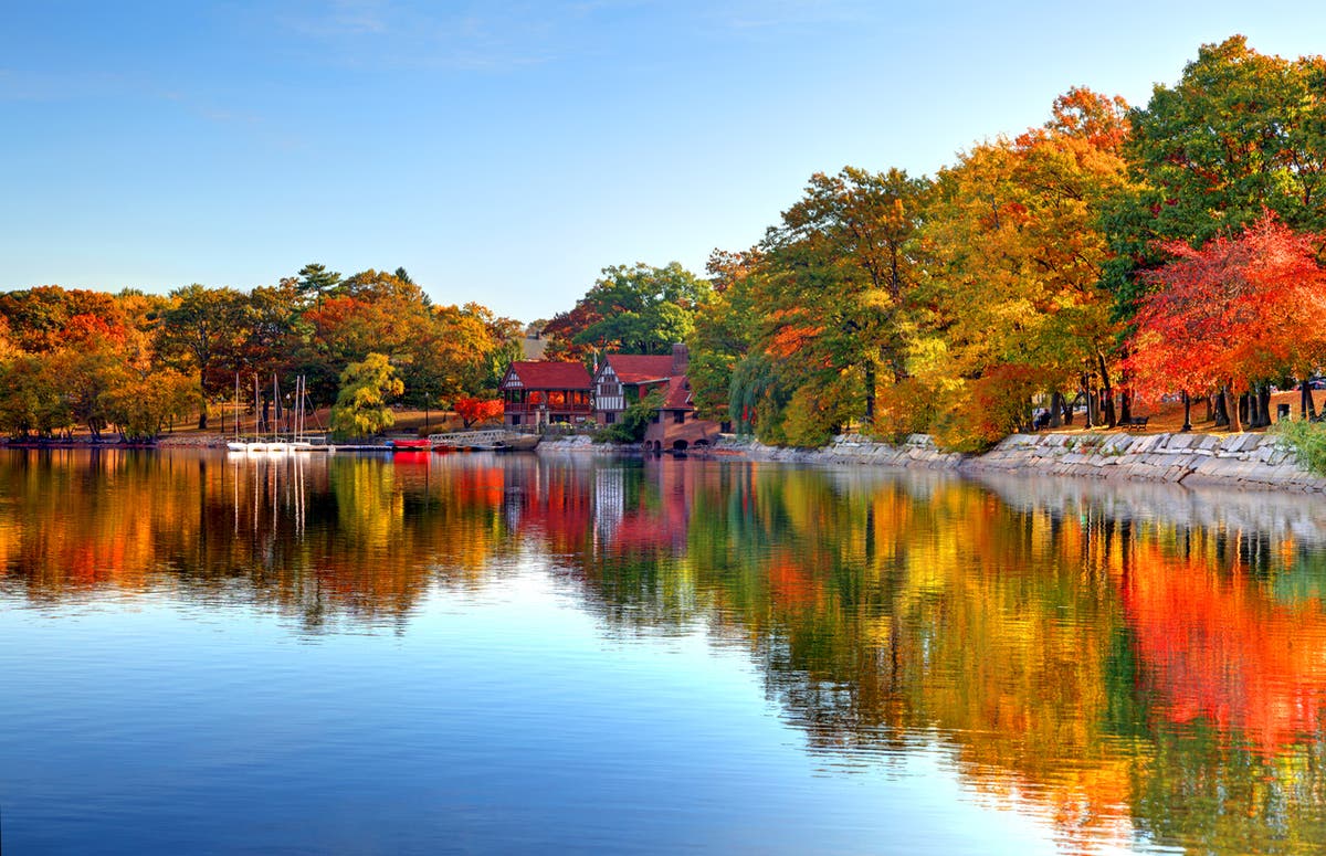 The best places around the world to see autumnal leaves