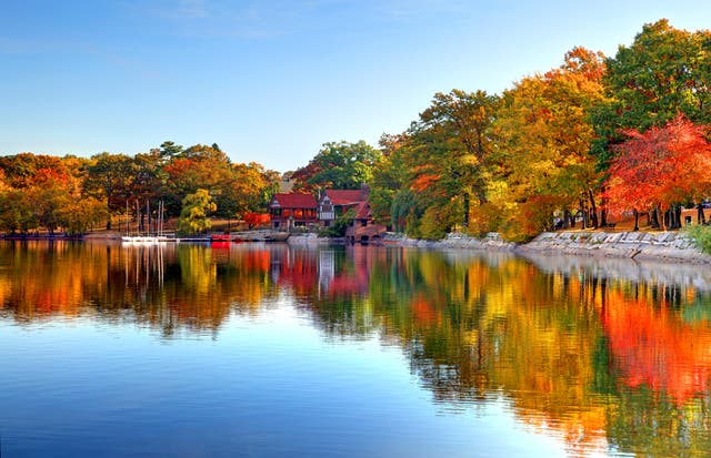 Burst of colour: Jamaica Pond in Boston, Massachusetts