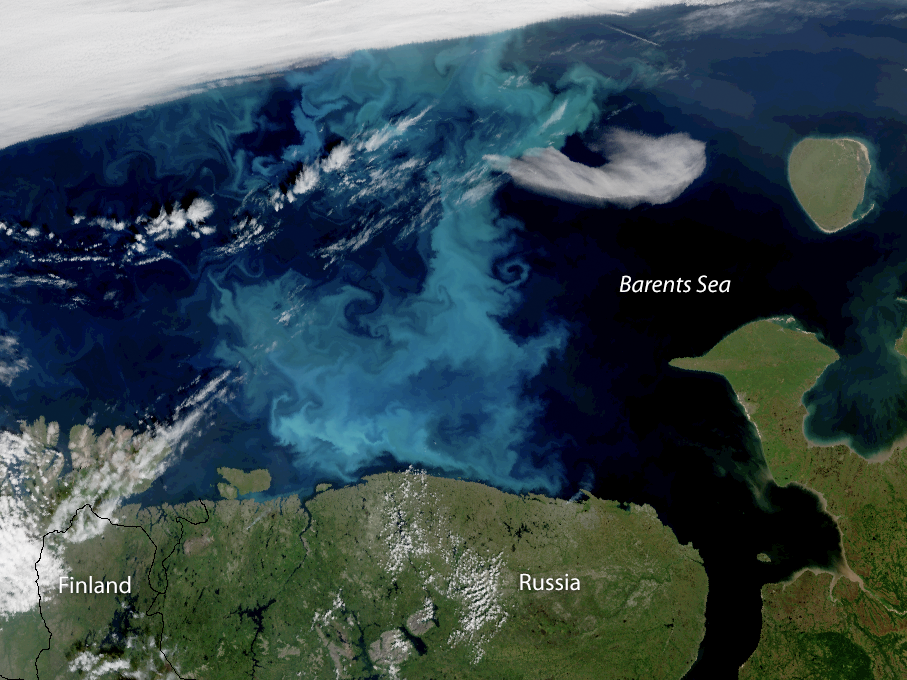Clear skies over northern Russia and Scandinavia reveal swirls of blue and turquoise phytoplankton in the Barents Sea. This true-colour image, was captured by the NOAA-20 satellite on July 30, 2018