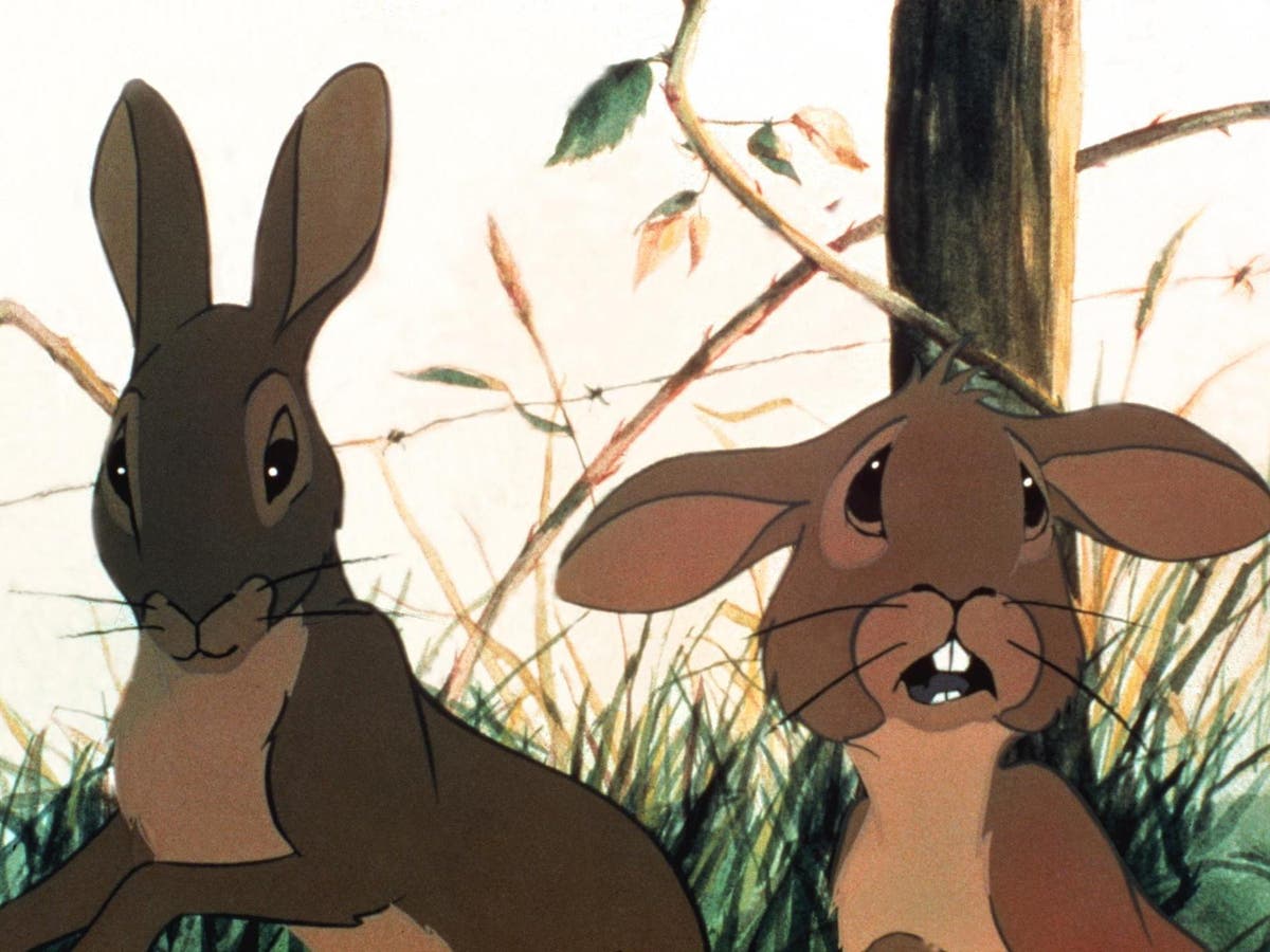 A piercing screen: How Watership Down terrified an entire generation | The  Independent | The Independent