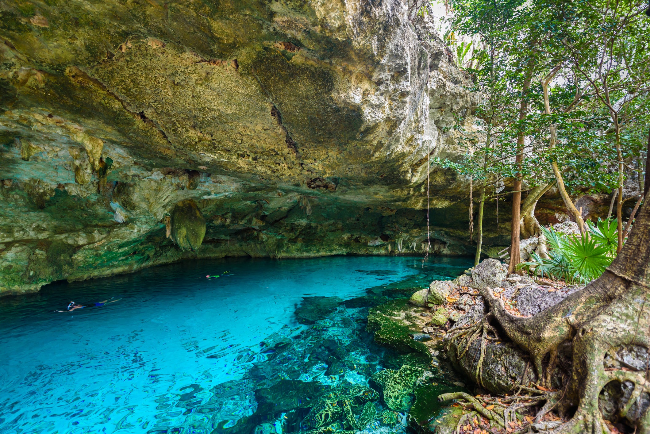 Swim or snorkel in Cenote Dos Ojos