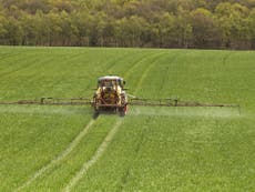 UK could lower pesticide standards to sign US trade deal, report warns