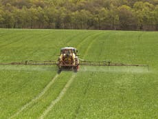 Pesticides are destroying the land we depend on. So why are we bailing out these companies with billions of pounds?