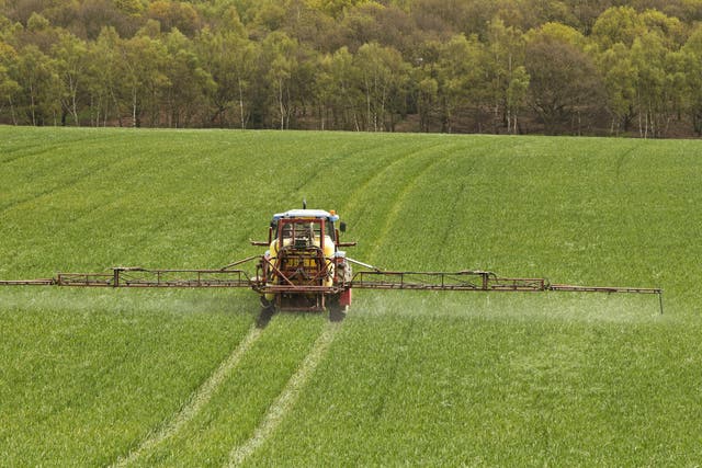 Experts have raised concerns about the health impacts of endocrine disruptors used in some pesticides 