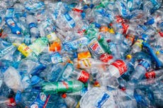 Scientists discover plastic in faeces of every person in study