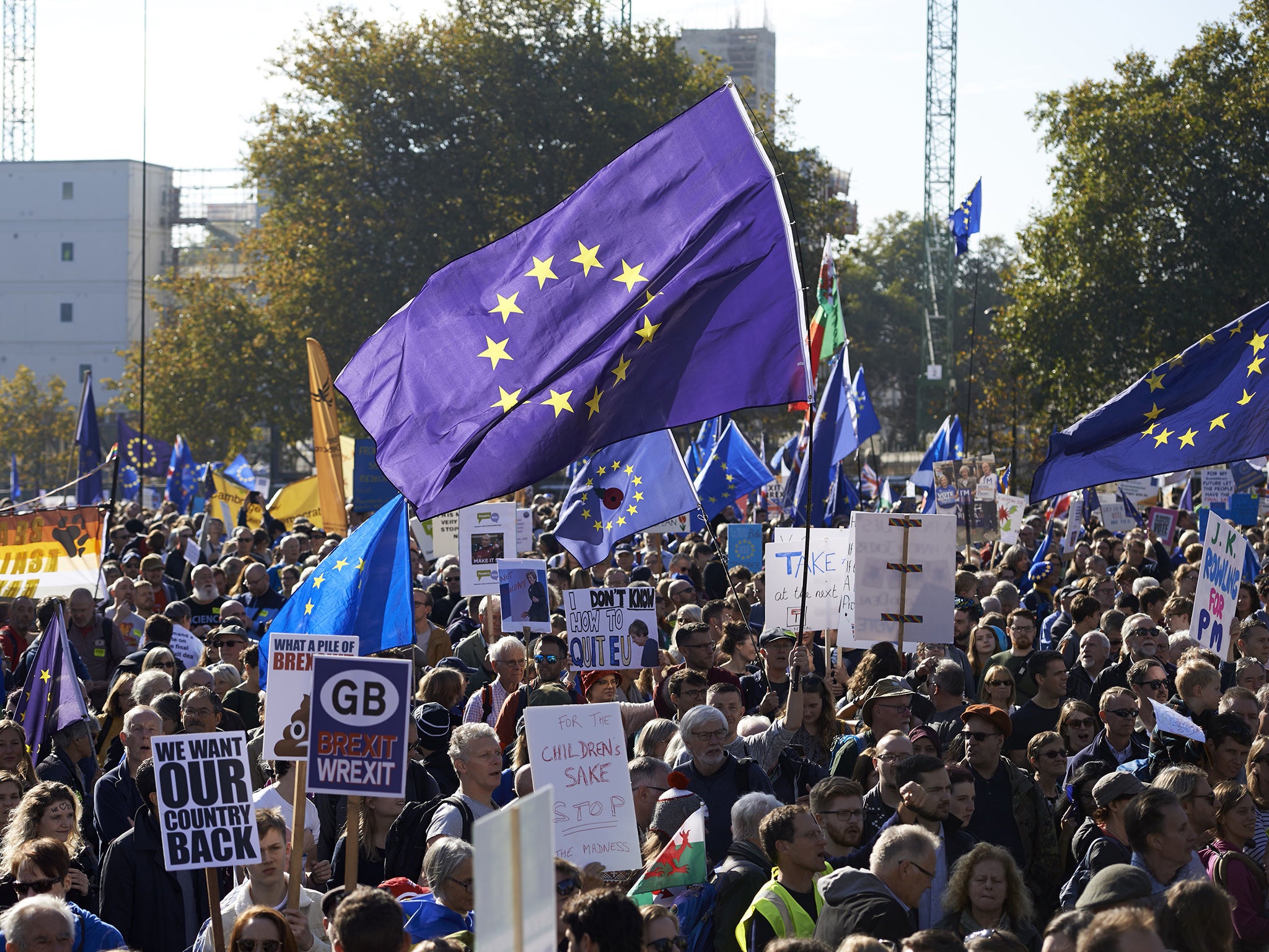 Demonstrators hold placards and European Union flags as they take part in a march calling for a People's Vote on the final Brexit deal, in central London on October 20, 2018. - Britons dreading life outside Europe gathered from all corners of the UK to London on Saturday to try to stop their country's looming breakup with the EU.