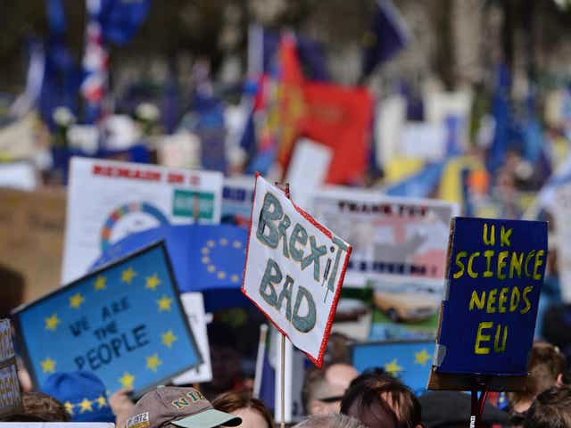 Pro-EU placards at a March for Europe rally in London