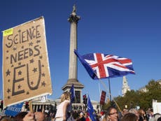 A hard Brexit would be near-fatal for UK science and other countries a