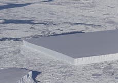 Nasa discovers mile-wide, perfectly rectangular iceberg