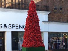 ‘Poppy tree’ on display in Salisbury prompts widespread bemusement