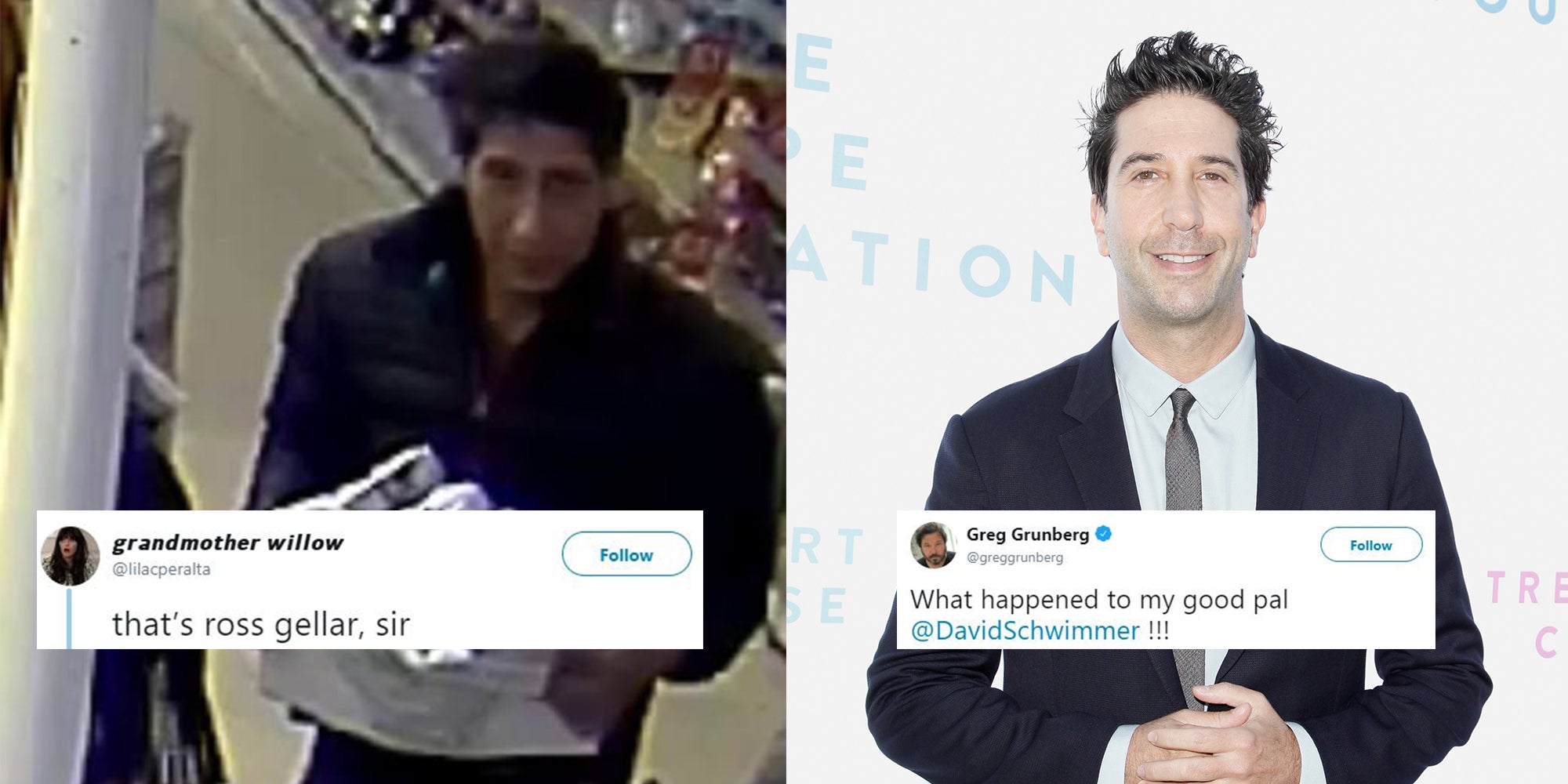 Police On Hunt For Man Who Looks A Lot Like Ross From Friends Indy100 Indy100