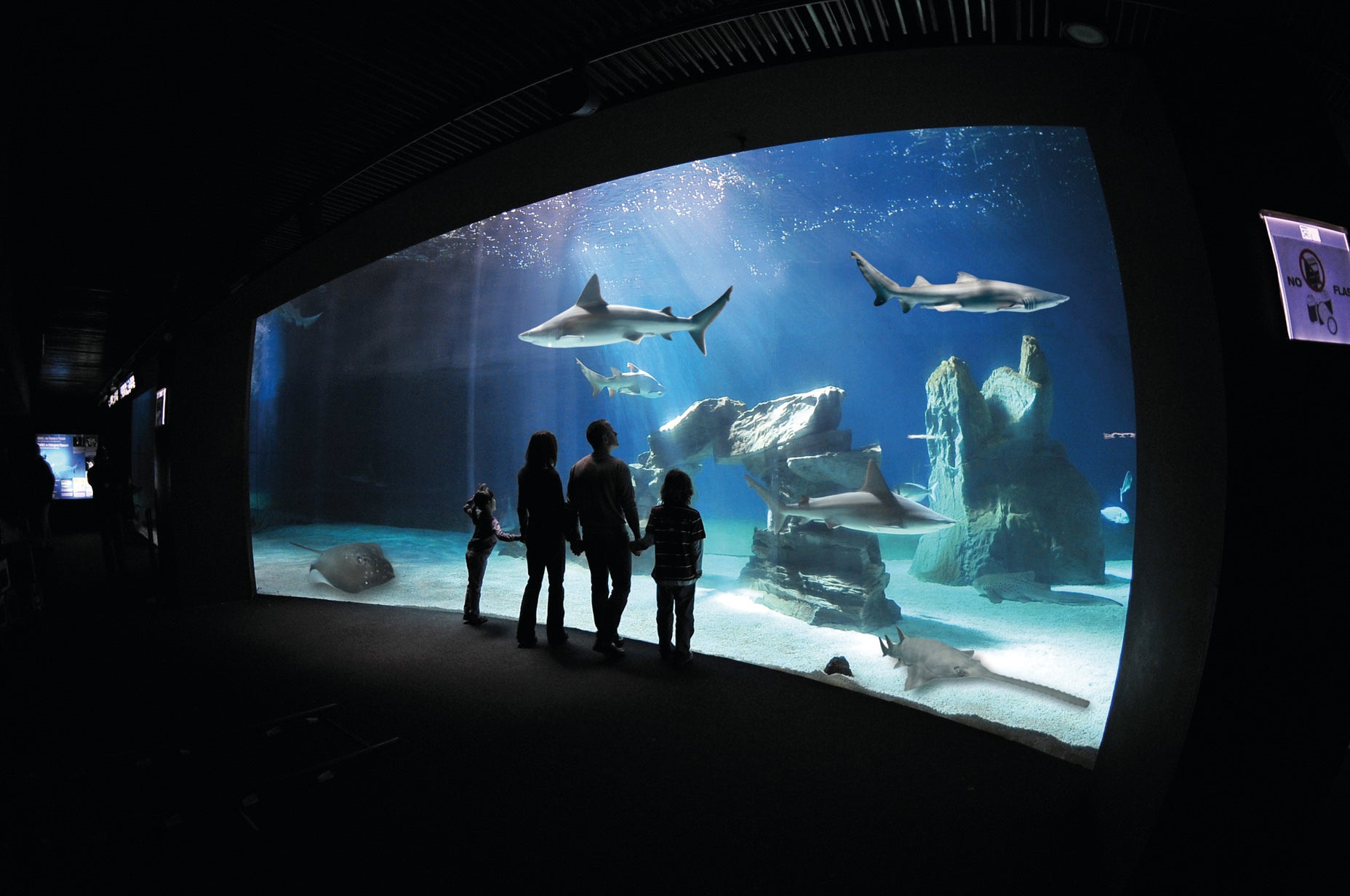 The cetaceans pavilion at Genoa’s Piano-designed aquarium