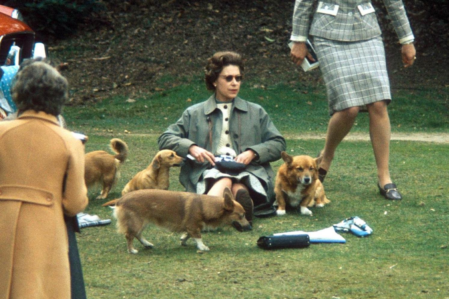 the queen and her corgis