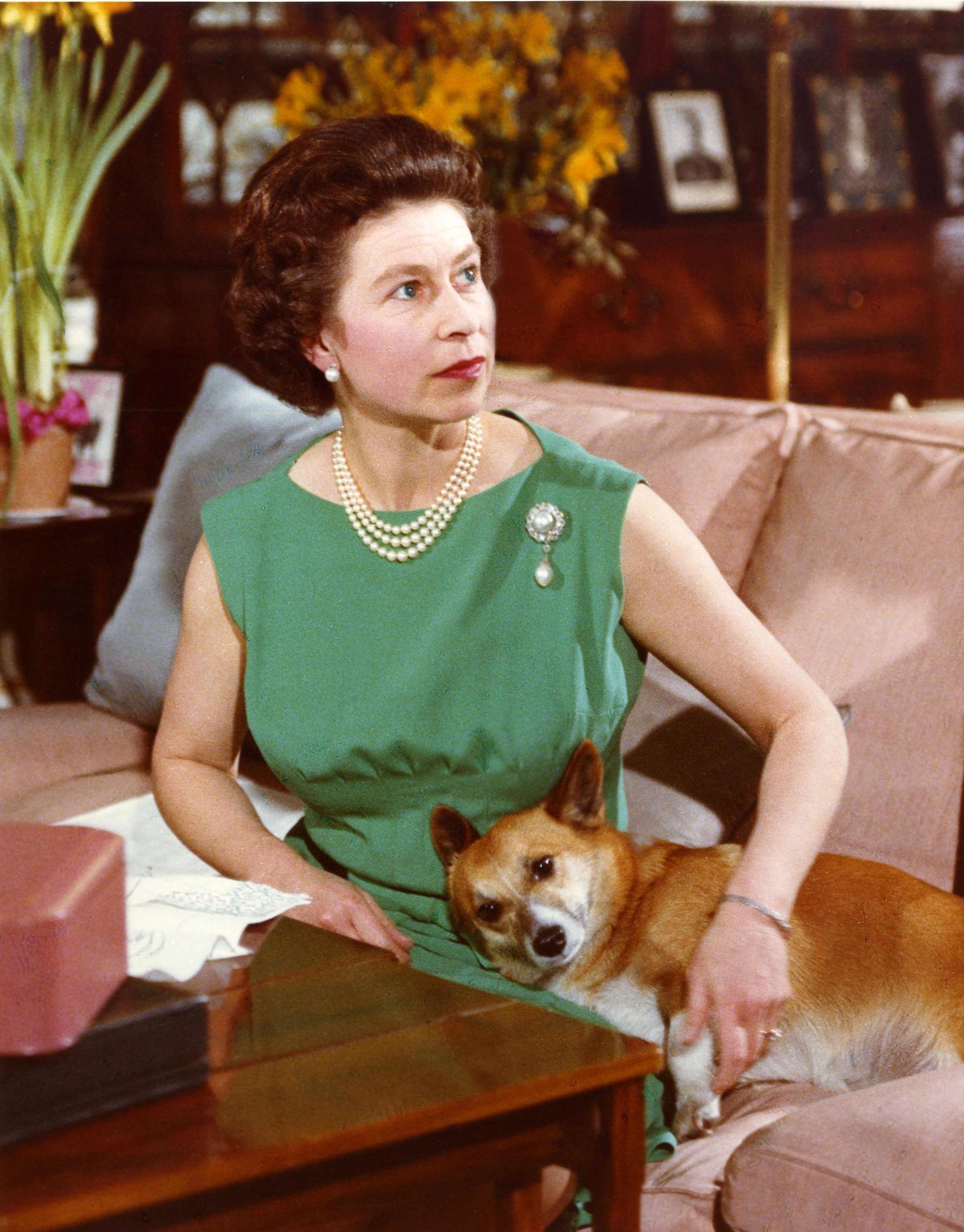 The Queen with one of her corgis