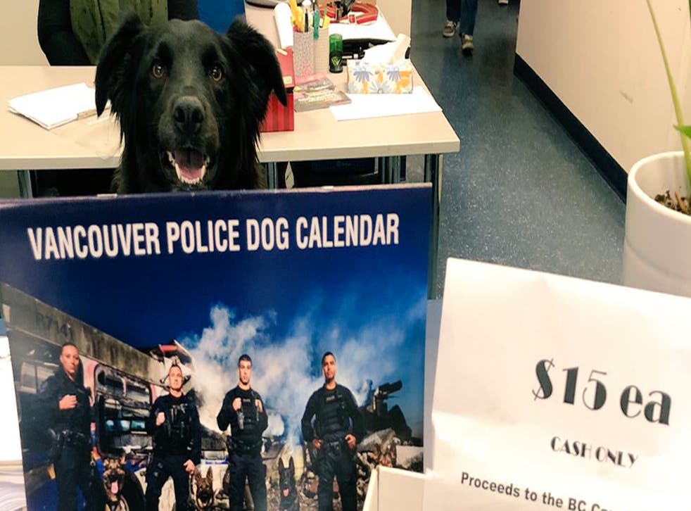 Vancouver City Police Department released their annual police dog