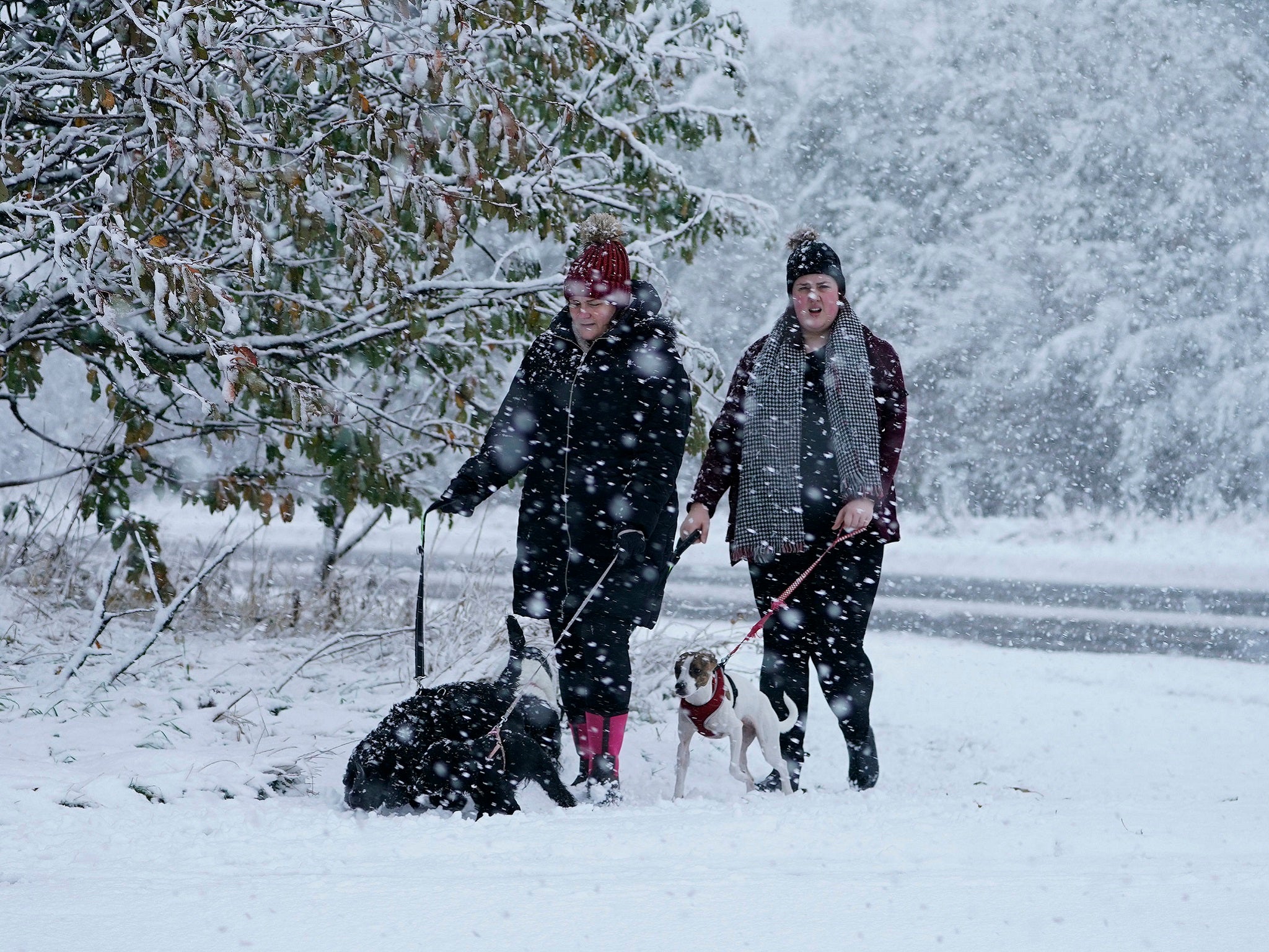 Dog walkers out in the snow in Greencroft, County Durham, Saturday, 27 October, 2018.
