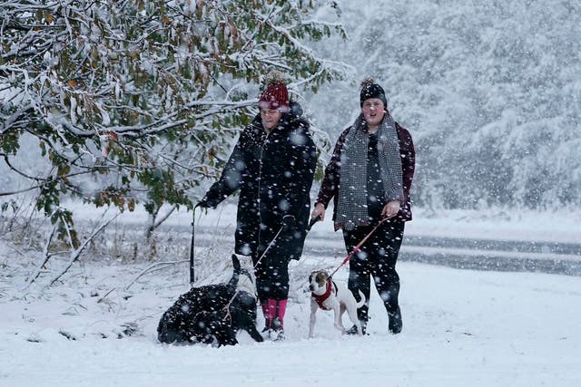 Dog walkers out in the snow in Greencroft, County Durham, Saturday, 27 October, 2018.