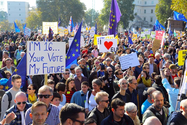 Support for another Brexit referendum has grown amid fears over a no-deal outcome