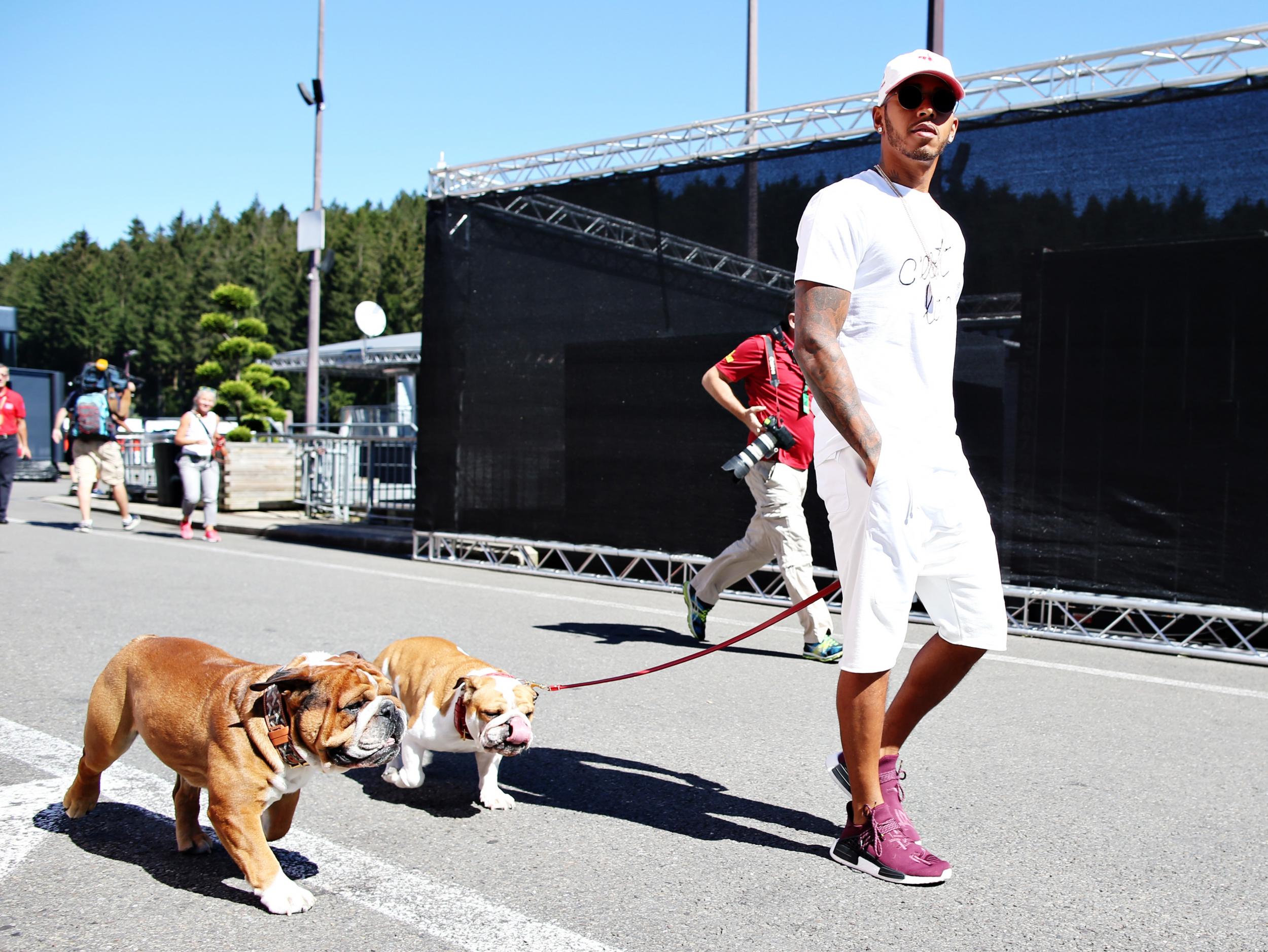 Lewis Hamilton To Celebrate His Fifth Formula One World