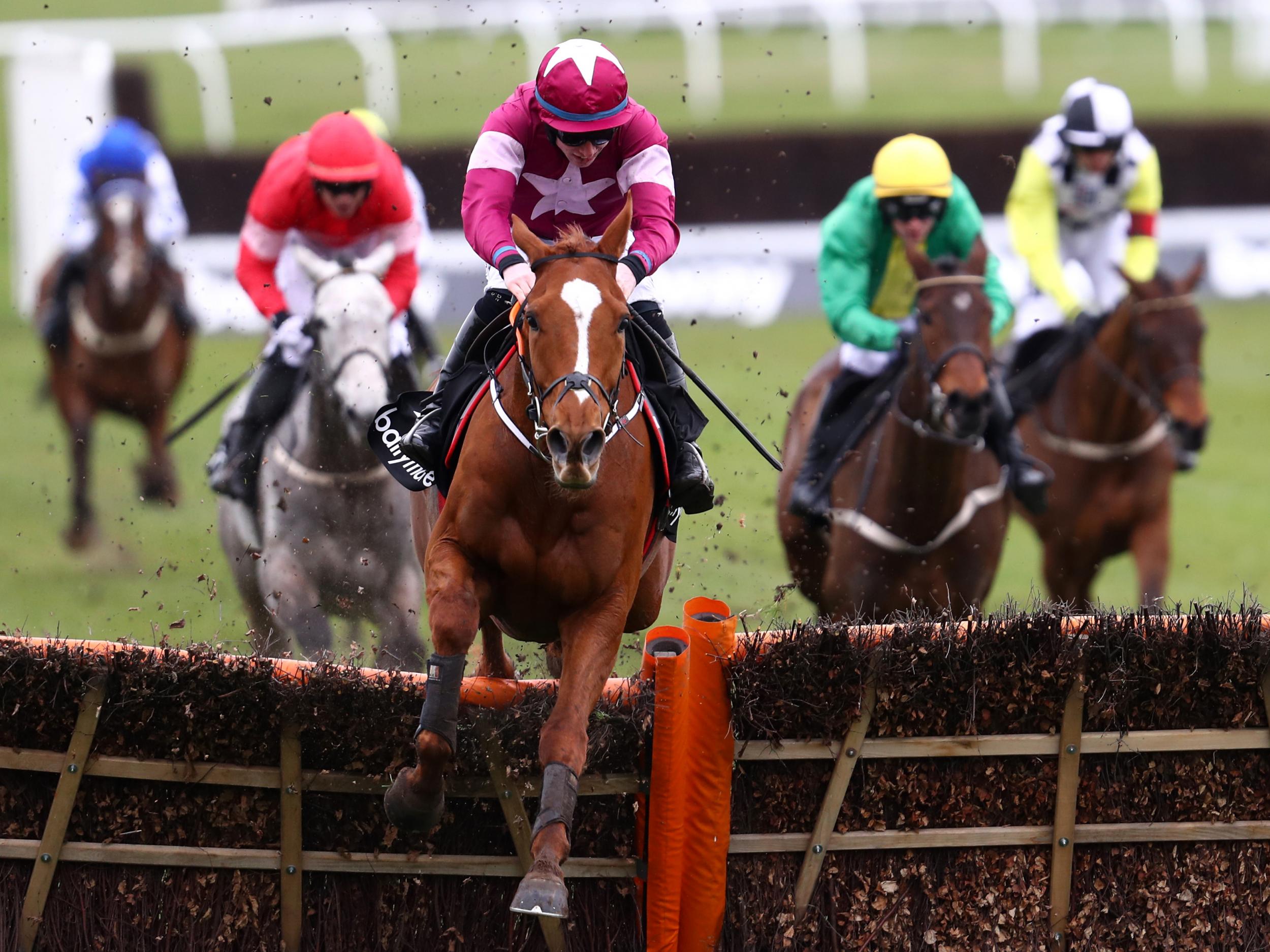 Samcro is 3-1 joint-favourite to win the 2019 Champion Hurdle