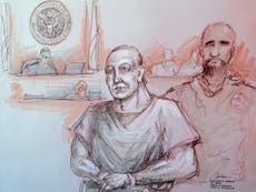 Cesar Sayoc makes first court appearance over pipe bombs