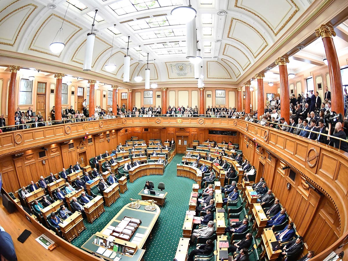 New Zealand Parliament Evacuated After Strong 6 1 Magnitude Earthquake