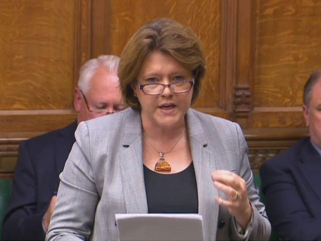Conservative former cabinet minister Maria Miller opens the debate in the House of Commons during the second reading of the European Union (Withdrawal) Bill