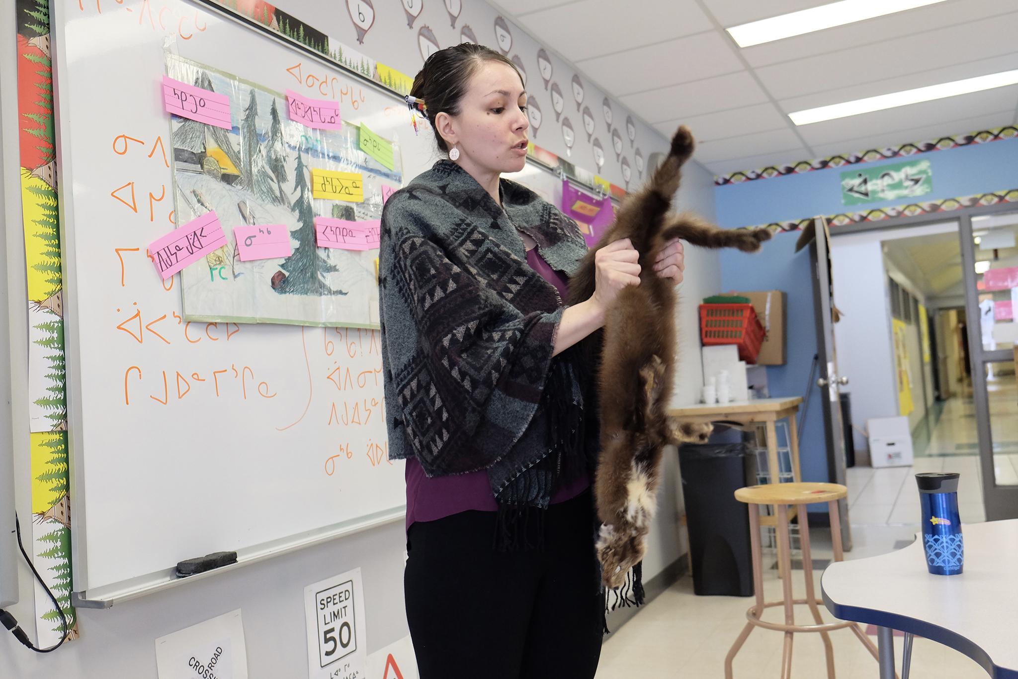 One of only six Naskapi teachers in the school, Shannon Uniam uses a marten pelt to teach students how it is trapped and prepared