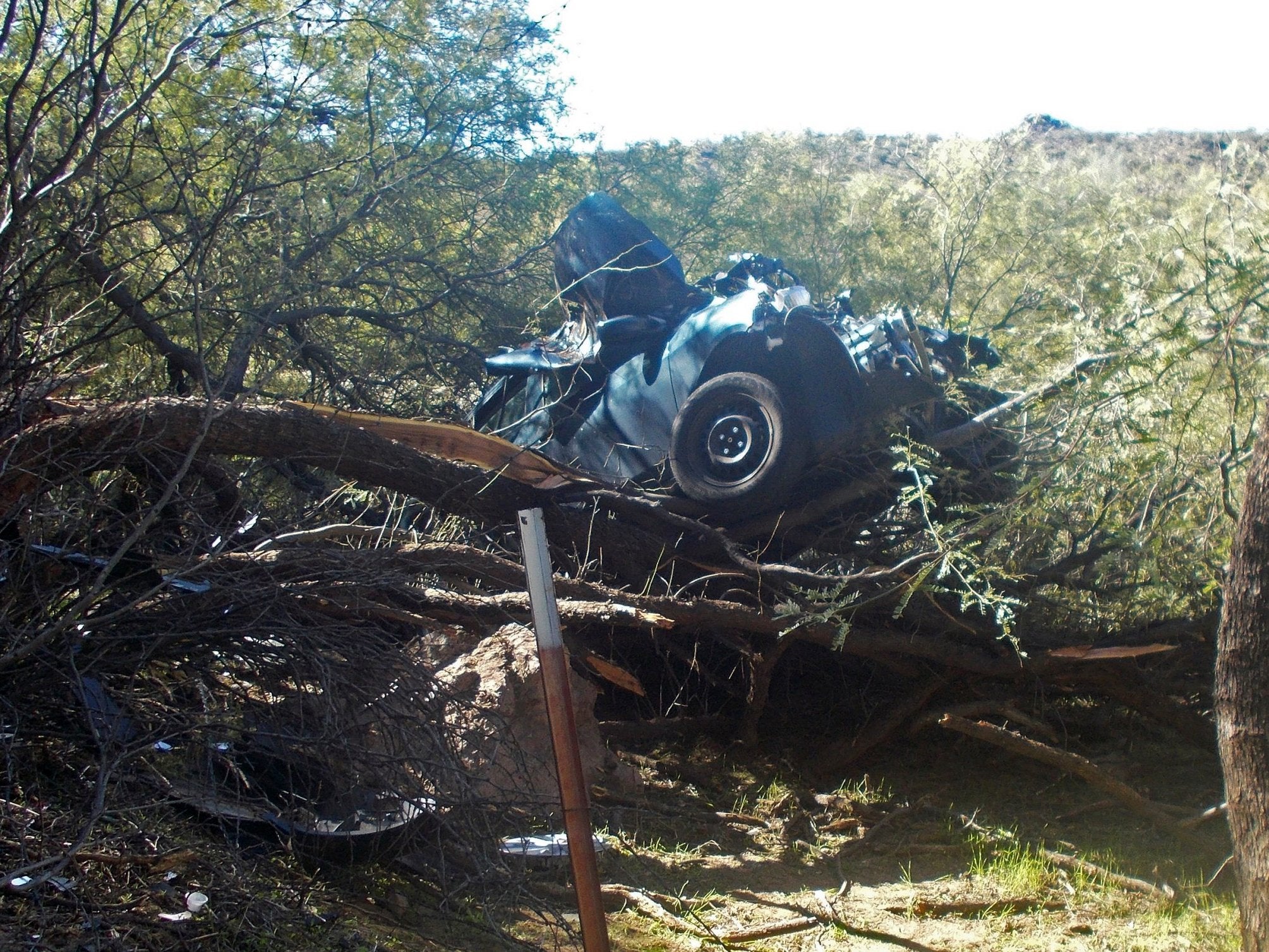 The woman's car was left mangled in a tree