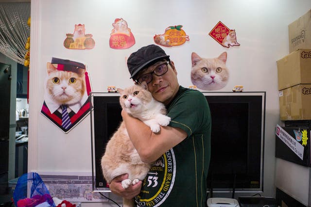 Ko Chee-shing poses with his cat Cream Brother in Hong Kong