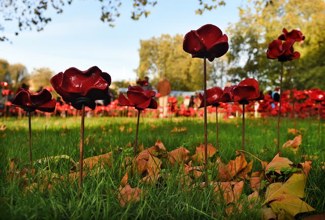 When we remember the fallen millions of last century, we should think very carefully about the impact Brexit will have upon future generations