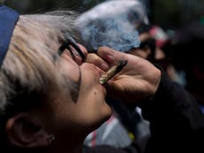 Mexico court rules adults have ‘fundamental right’ to use cannabis