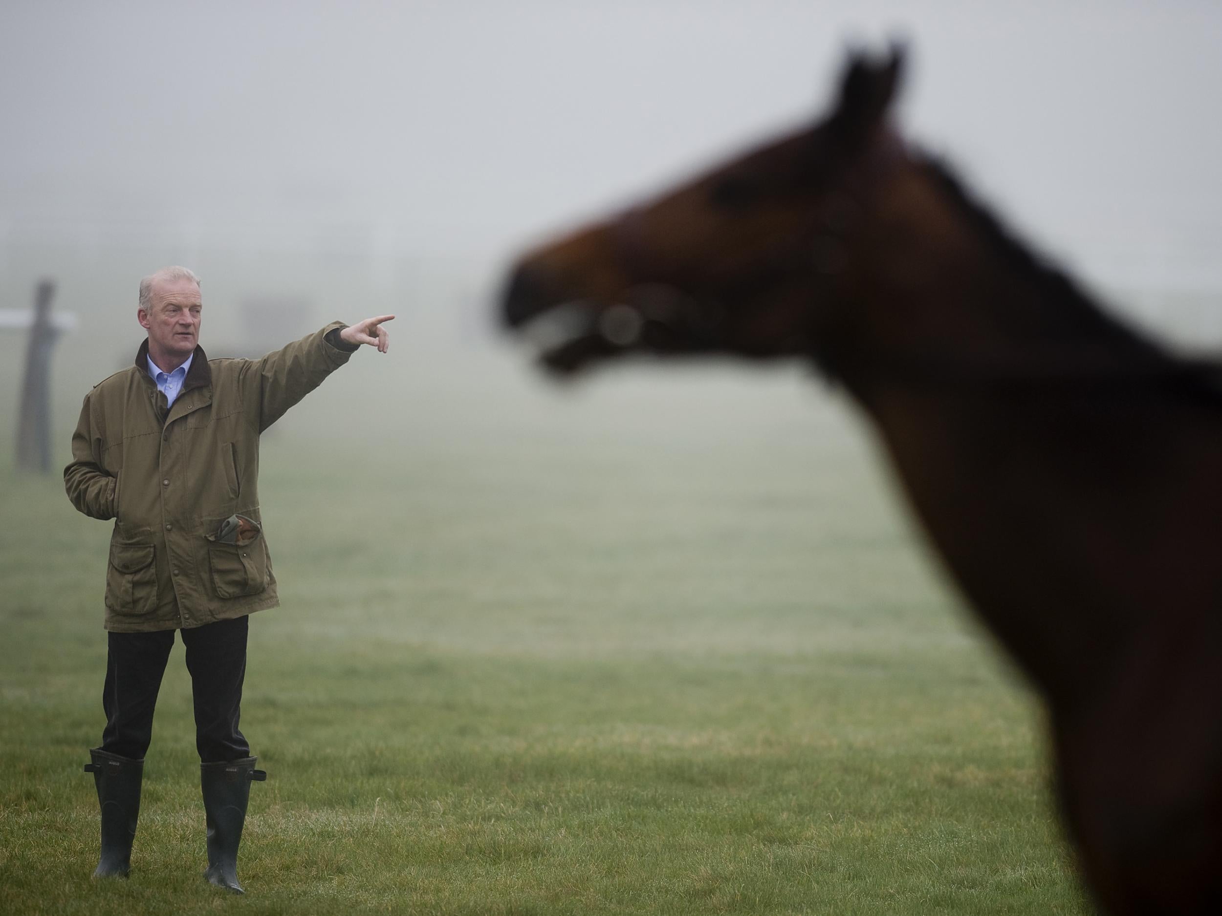 Willie Mullins has identified who he might enter in the Gold Cup
