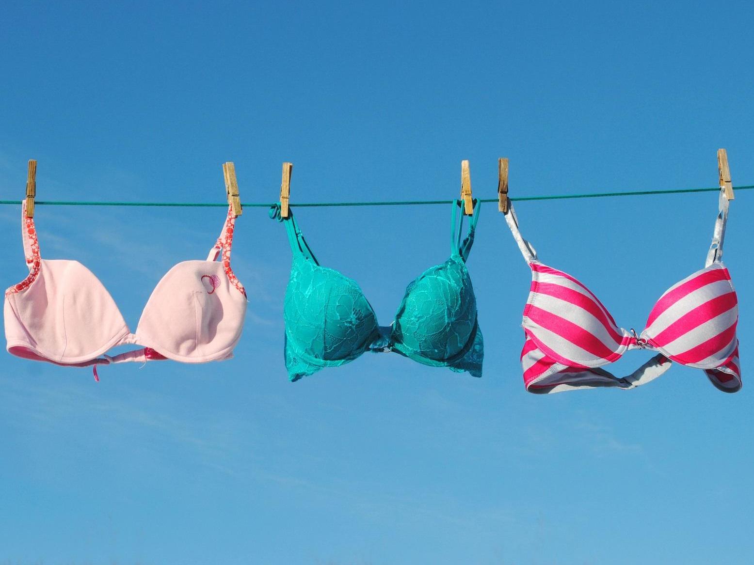 Police catch serial lingerie thief by fitting bra with GPS tracker