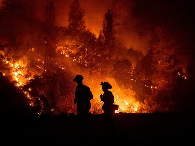 A new study has shown minority groups in the US are 50 per cent more exposed to deadly wildfires