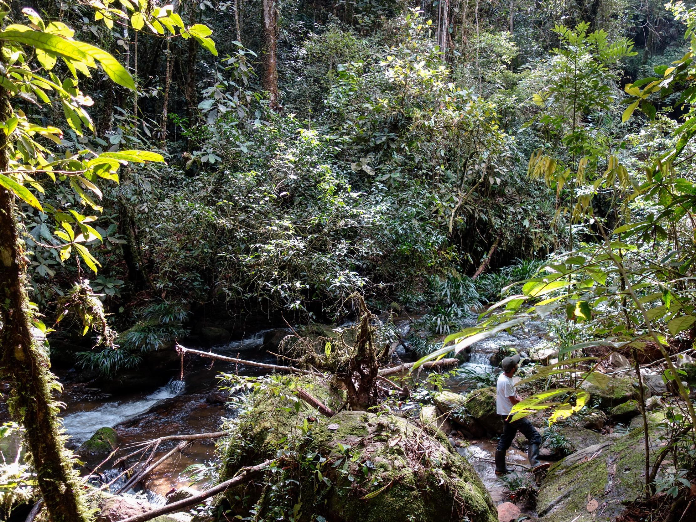 Colombia is the second most biodiverse nation in the world